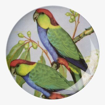 Bild av färgstark tallrik med exotiska fågelmotiv