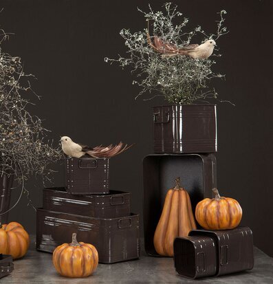 Bild av höstinspirerad dekoration med pumpa och ljus