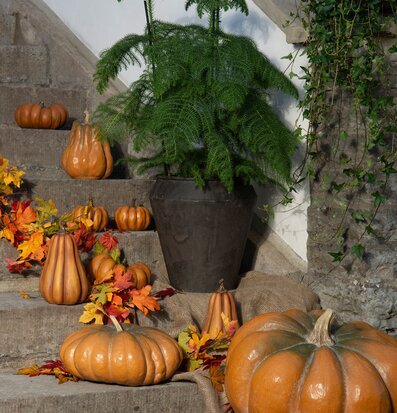 Bild av höstdekorationer med pumpor och löv