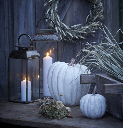 Bild av harmoniskt arrangemang med vita pumpor