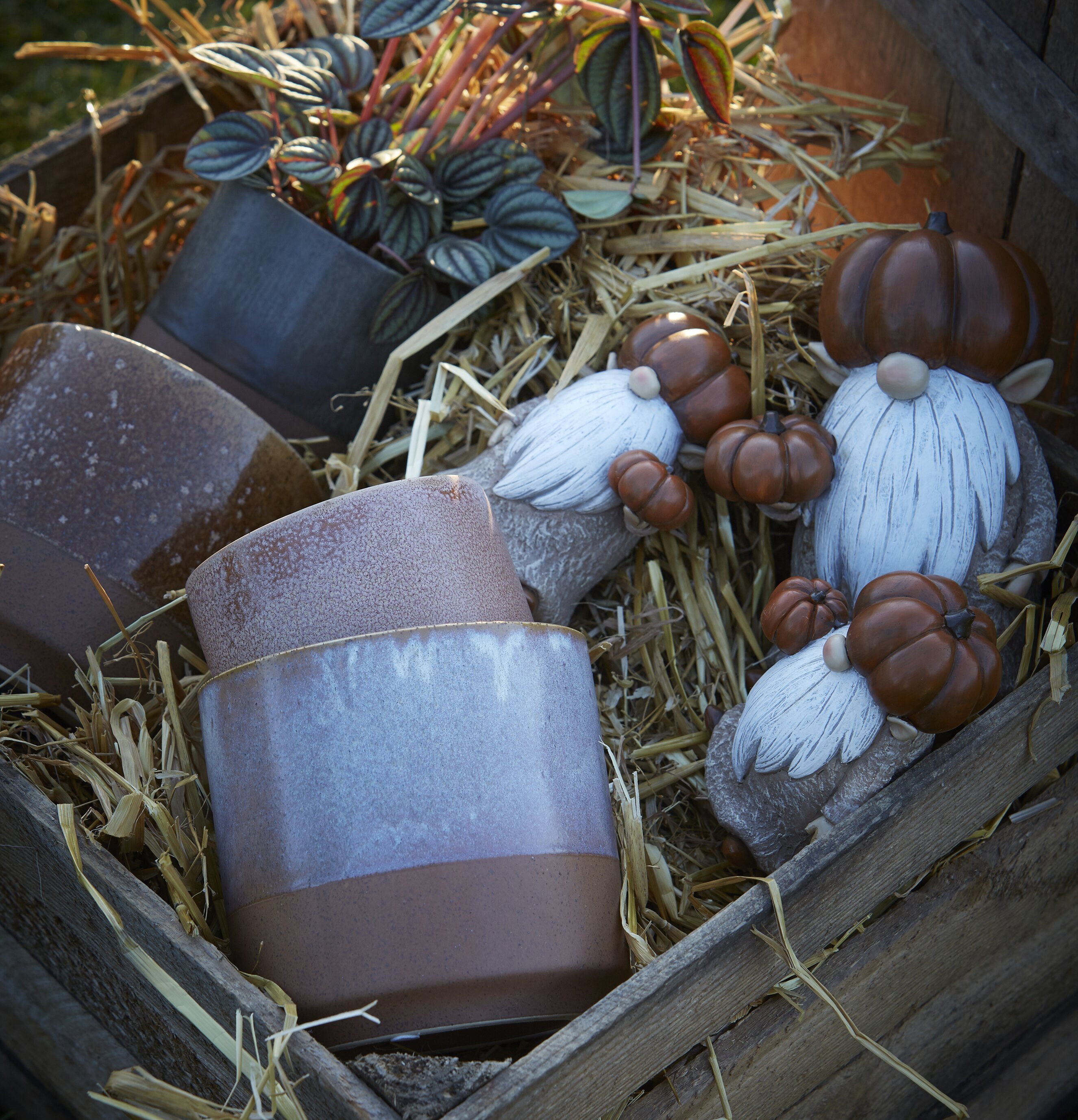 Bild av höstinspirerad inredning med naturmaterial