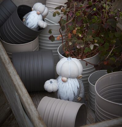 Foto av charmiga vättar och krukor i höstlig trädgård