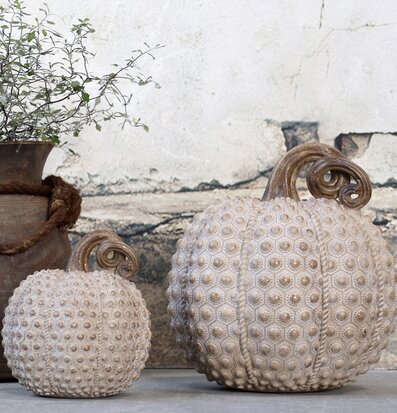 Foto av stilfull inomhusmiljö med dekorativ pumpa