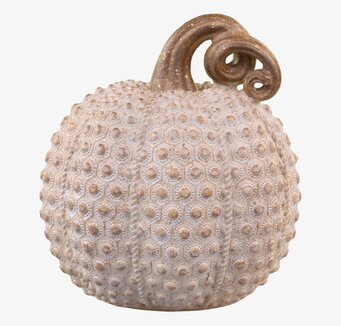 Bild av dekorativ pumpa med unik design och textur