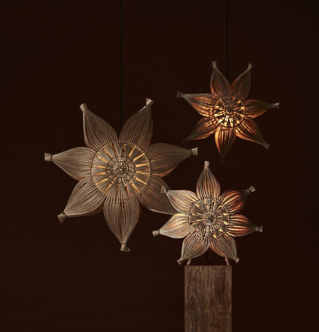 Foto av tre bordstjärnor i mörk och elegant miljö