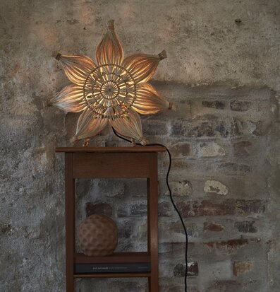 Bild av rustik bordsdekoration med stjärnformad lampa