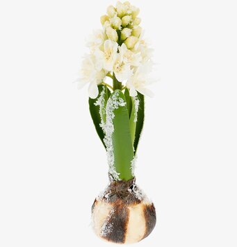 Bild av konstgjord vit hyacint med realistiska detaljer