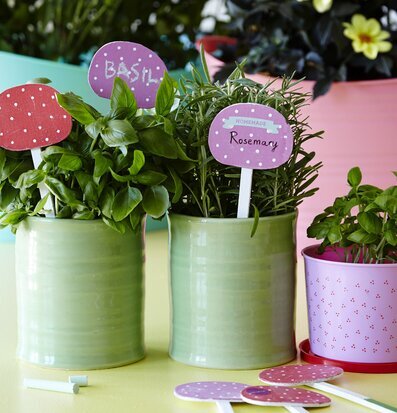 Bild av färgglad och inbjudande örtagårdskomposition