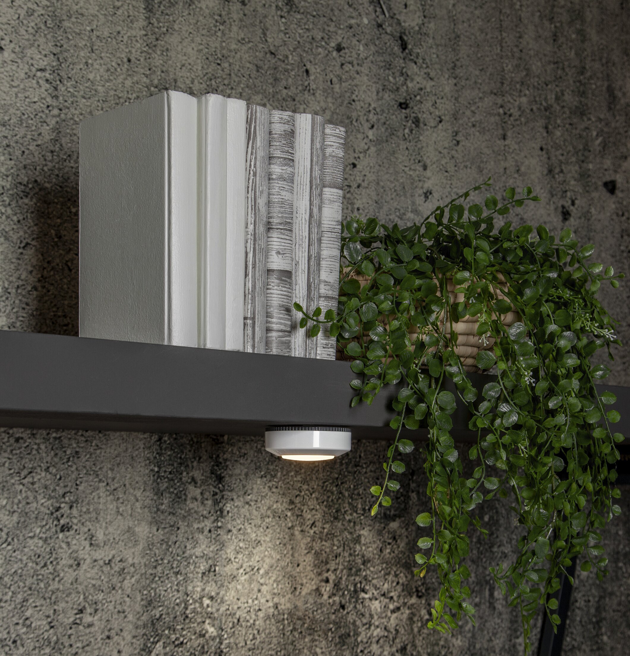 Bild av stilren inredning med böcker och växt