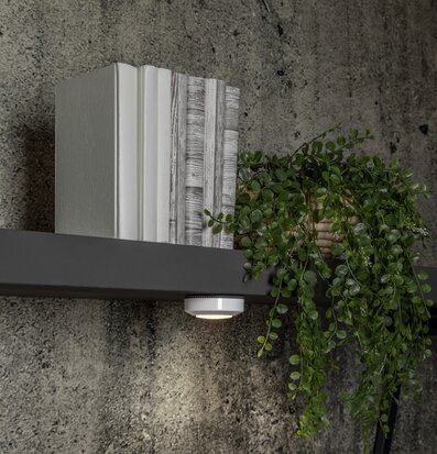 Bild av stilren inredning med böcker och växt