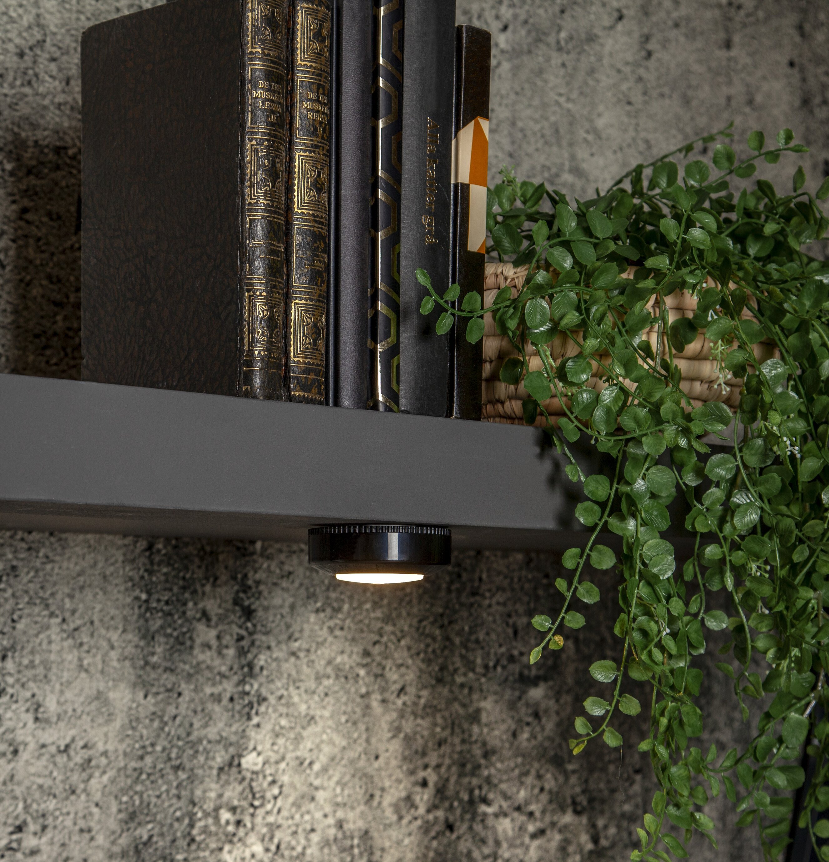 Puck LED Functional Svart 3-Pack från Star Trading under hylla