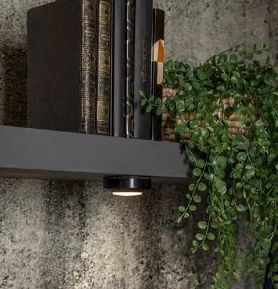 Bild av stilfull hylla med böcker och belysning