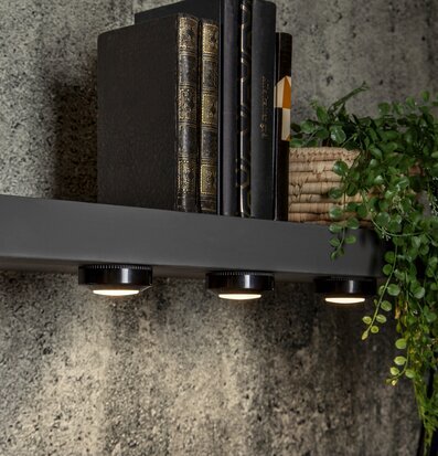 Bild: Elegant hylla med stilfull belysning och växt