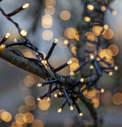 Foto av ljusslinga i naturskön utomhusmiljö