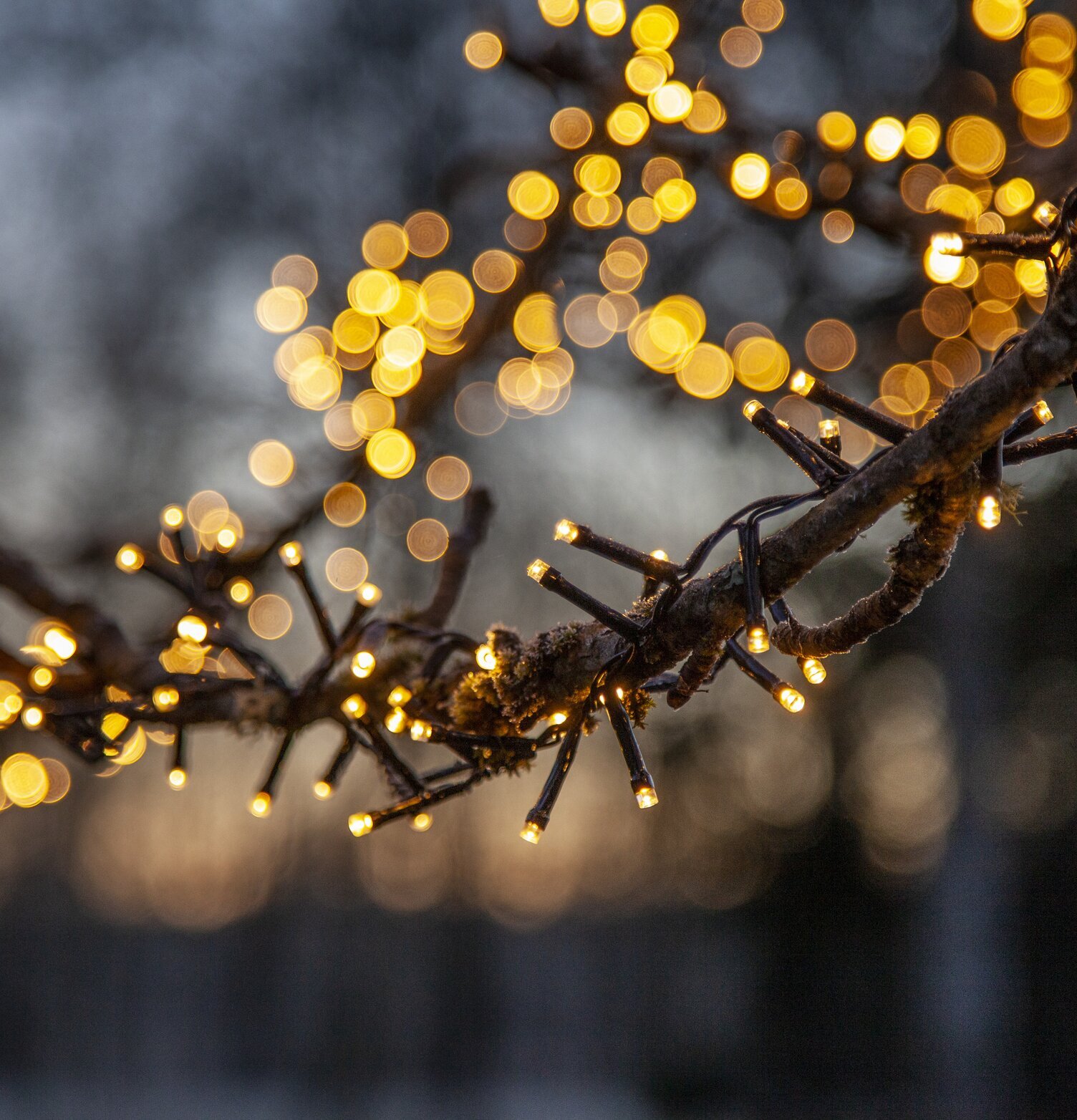 Ljusslinga Flashy 1500 LED, 30 Meter från Star Trading