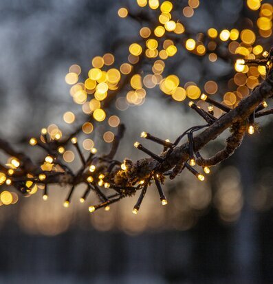 Bild av förtrollande ljusslinga i nordisk kvällsmiljö