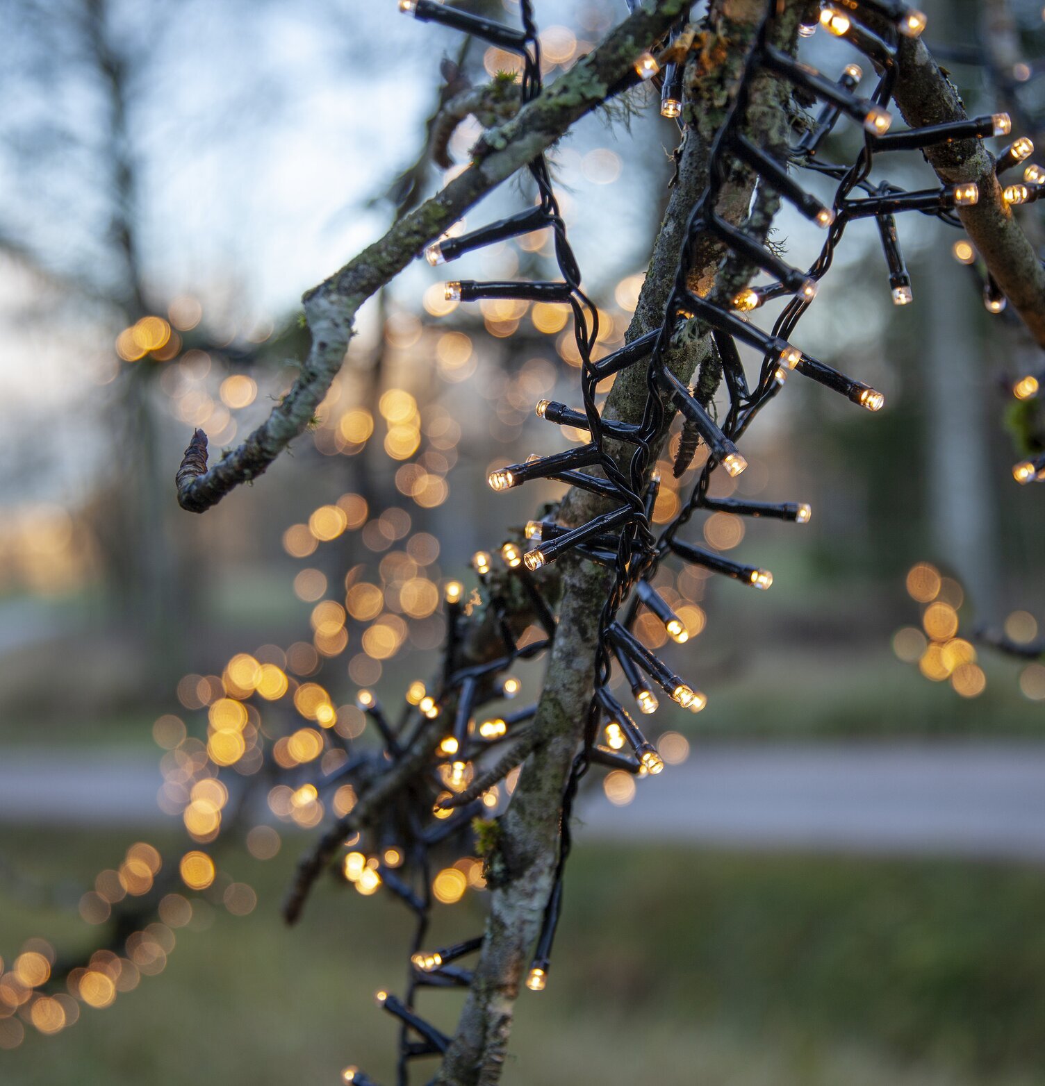Ljusslinga Flashy 1500 LED, 30 Meter från Star Trading i träd