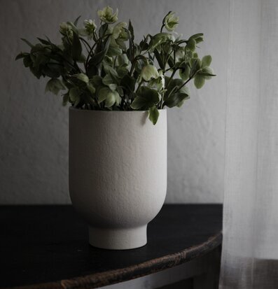 Bild av stilren kruka med grön växt och ljus bakgrund