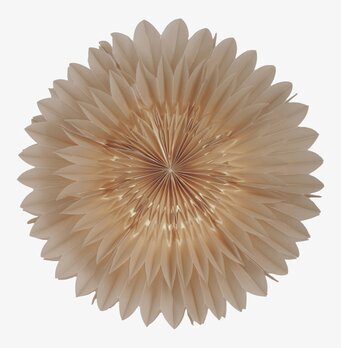 Bild av elegant julstjärna med blomliknande design