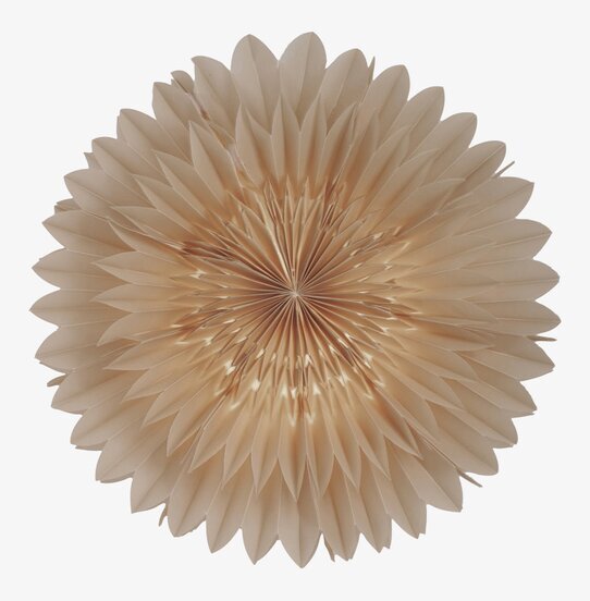 Julstjärna Lotus 44 Beige från Watt och Veke i fönster