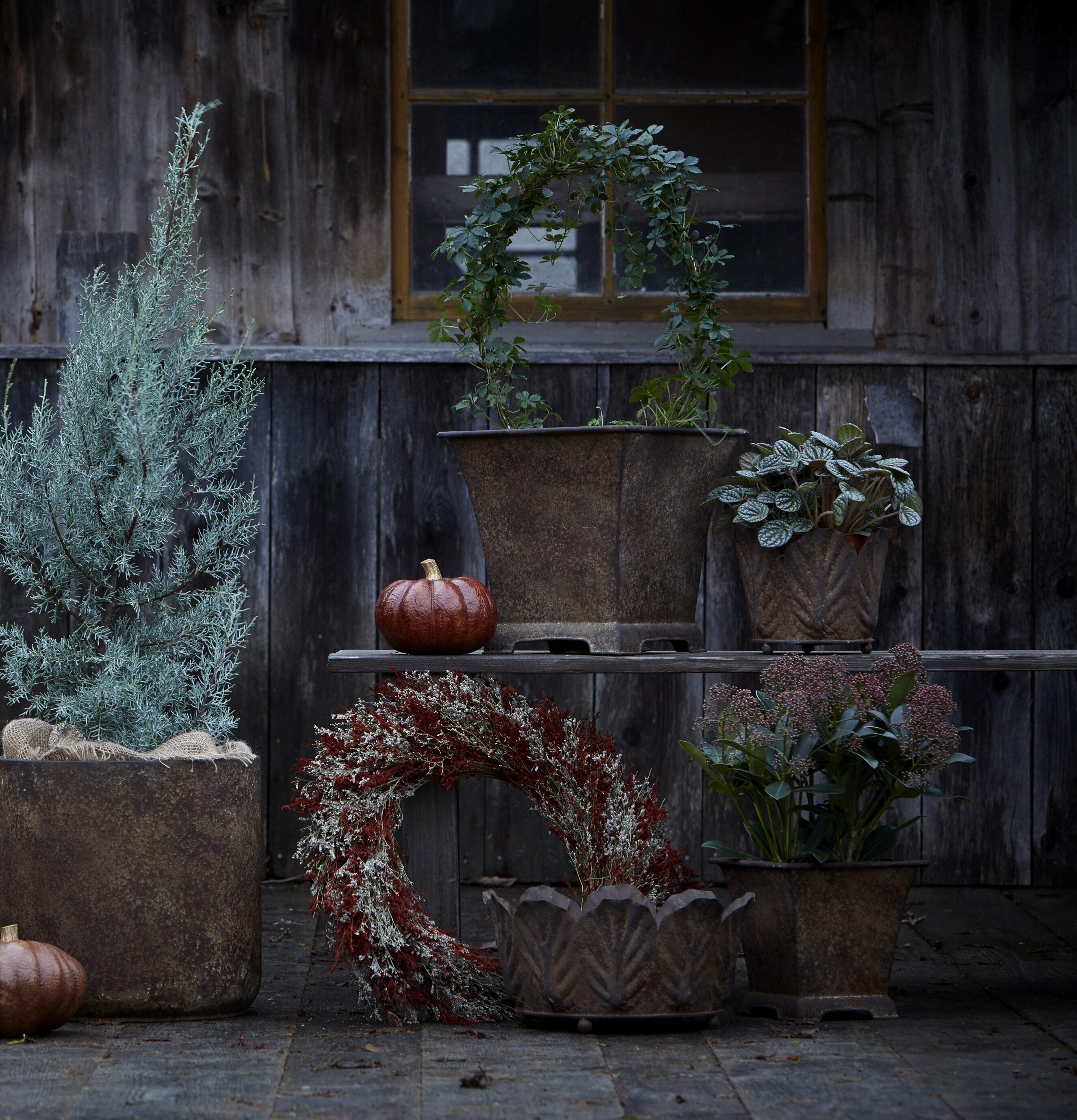 Tora Kruka Rost från Wikholm Form i rustik miljö med växter