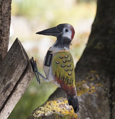 Foto av konstnärligt detaljerad plåtfågel i naturen