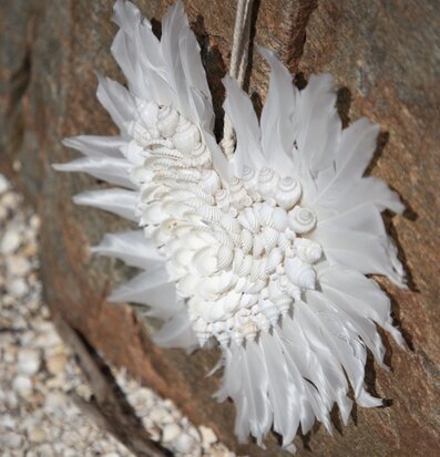 Foto av unik fjärilsdekoration med fjädrar och snäckor