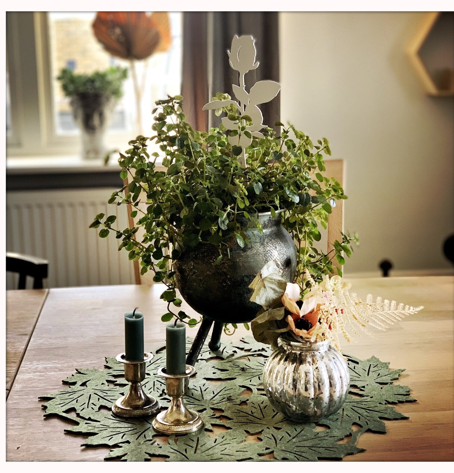 #ÄlskaPlåt Ros Vit från Älskaplåt i en grön växt på träbord