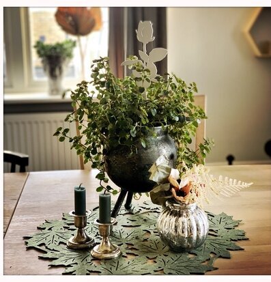 Bild av hemtrevlig bordsyta med växter och dekorationer