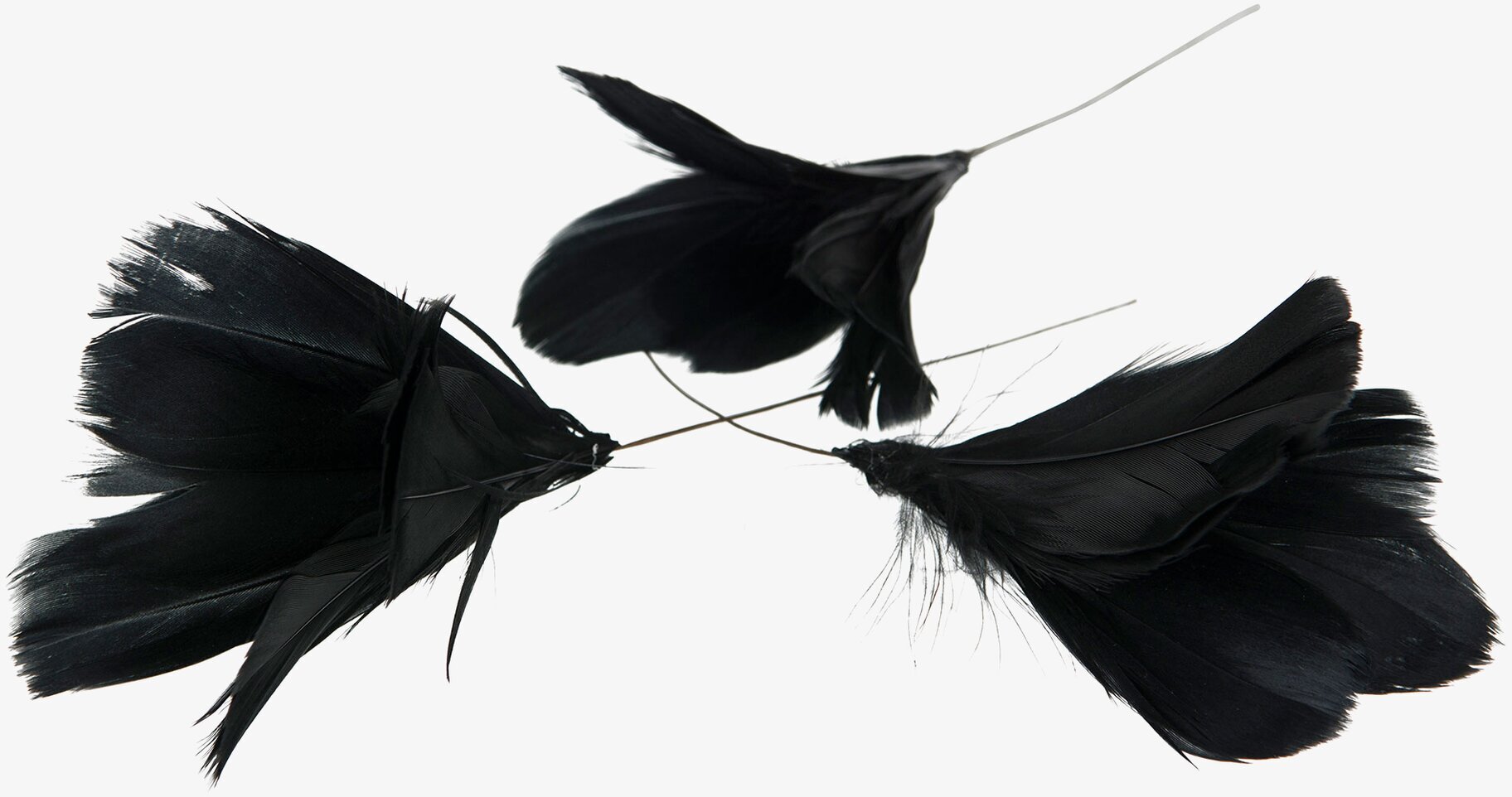 Fjäder/Tråd Blom Svart 12 st från A Lot Decoration