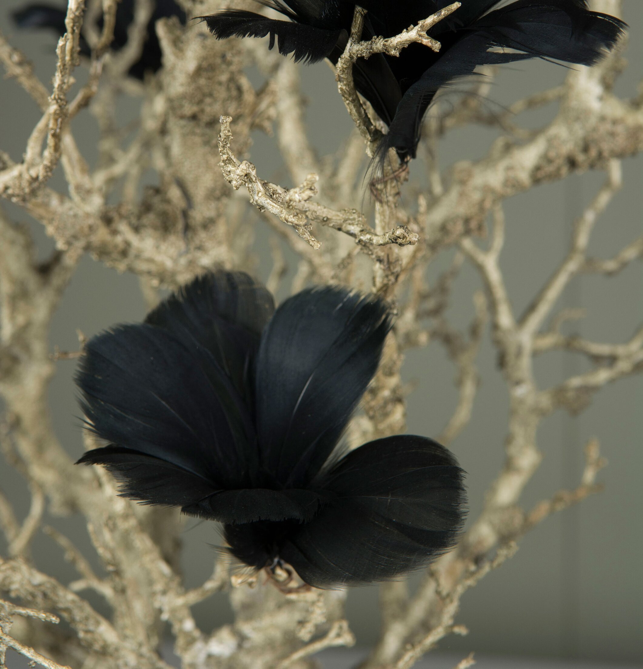 Fjäder/Tråd Blom Svart 12 st från A Lot Decoration