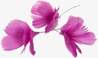 Bild av cerisefärgade dekorativa fjädrar och tråd