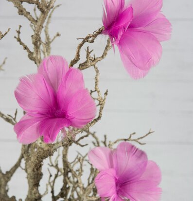 Foto av cerisefärgade fjäderblommor på vridna grenar