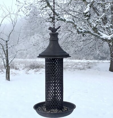 Foto av en elegant fågelmatare i vintrig trädgård