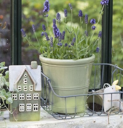 Foto av harmonisk ljuslykta och dekorativa element