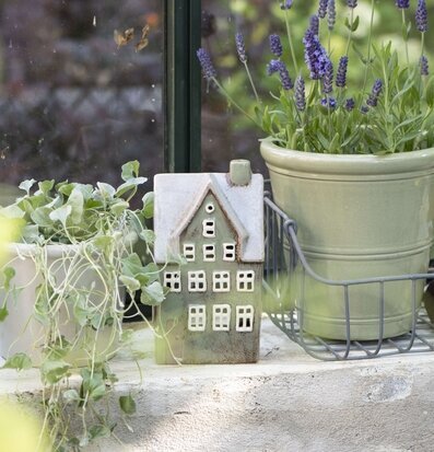 Bild av charmig ljuslykta i grönskande miljö