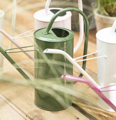 Foto av färgglada vattenkannor i naturlig miljö