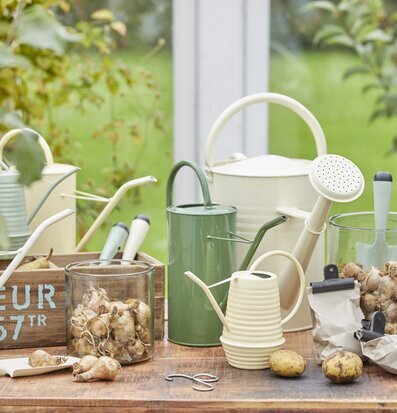 Foto av jordnära trädgårdsglädje och naturlig skönhet