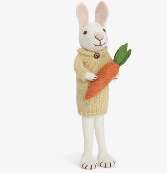 Foto av charmig kanin i gul klänning med morot