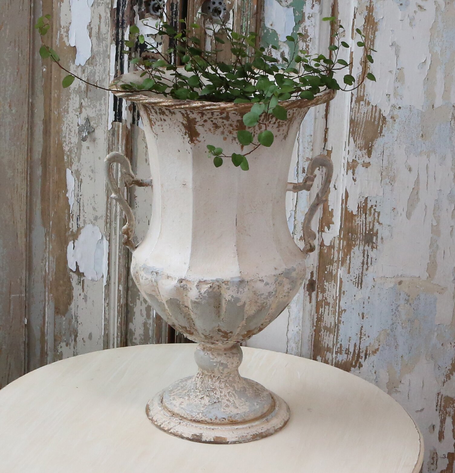 Fransk Kruka På Fot X-Large från Chic Antique med växter