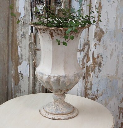 Foto av fransk kruka i antik stil med grön växt