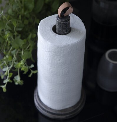 Foto av träpappershållare i modernt kök med örter