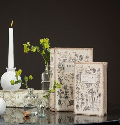 Bild av elegant botaniskt arrangemang och dekorationer