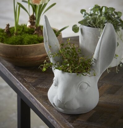 Bild av unik kruka med kaninhuvud och gröna växter