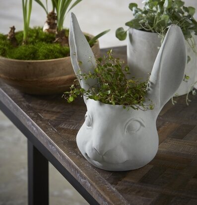 Bild av kreativ inredning med kaninkruka och växter