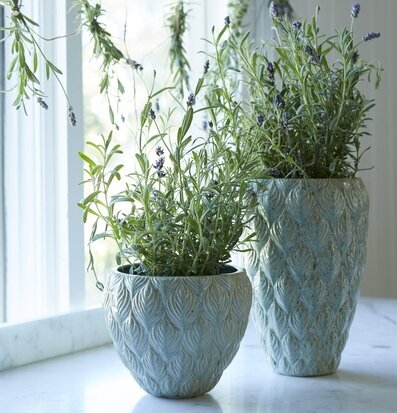 Bild av harmonisk scen med gröna krukor och växter