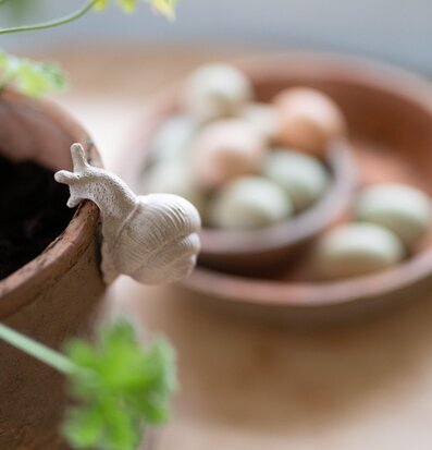 Bild av elegant snigeldekoration i naturlig miljö