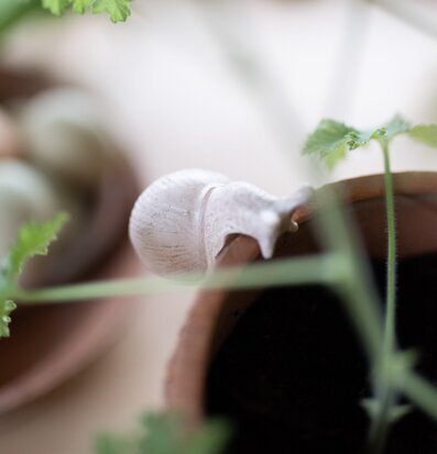 Bild av snigelfigur på terrakottakruka med gröna blad