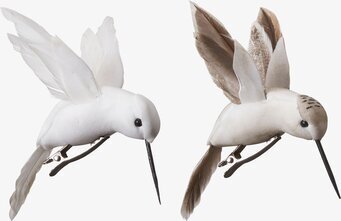 Bild av dekorativa kolibrier med clips för dekoration