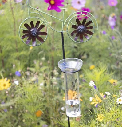Bild av regnmätare i form av en cykel i trädgård